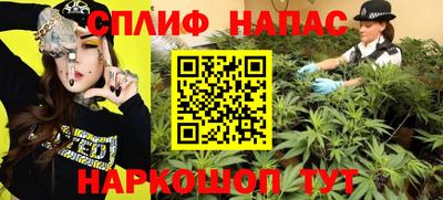 стаф Бузулук
